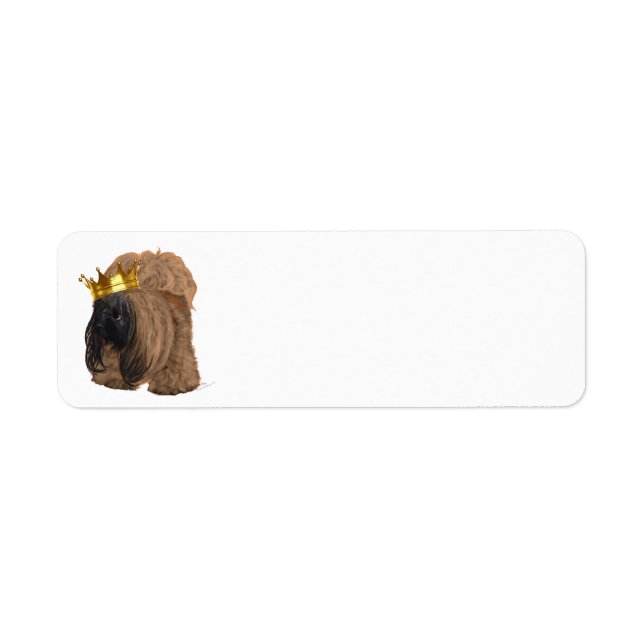 Pekingese Happy Thoughts (Front)