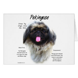 Pekingese History Design