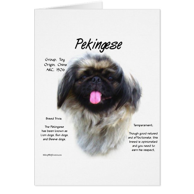 Pekingese History Design (Front)