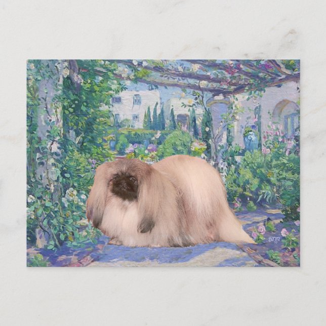 Pekingese in Flower Garden Postcard (Front)