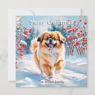 Pekingese In Snow Winter Merry Christmas Holiday Card