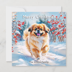 Pekingese In Snow Winter Merry Christmas Holiday Card