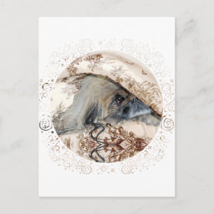 Pekingese is Peeking Out Postcard