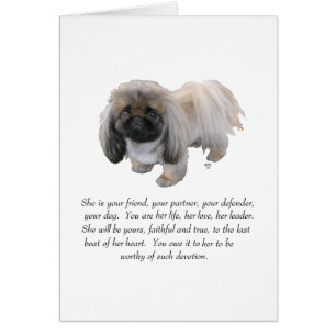 Pekingese Keepsake - FEMALE