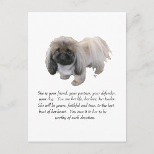 Pekingese Keepsake - FEMALE Postcard