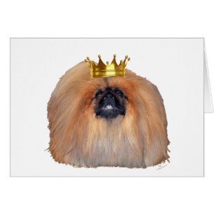 Pekingese King (Customise if you Wish!)