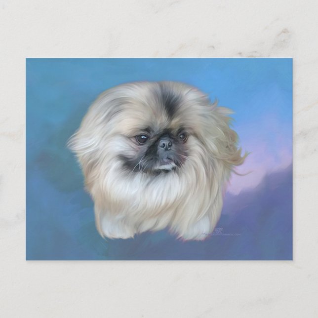 Pekingese Lily on Blue Postcard (Front)