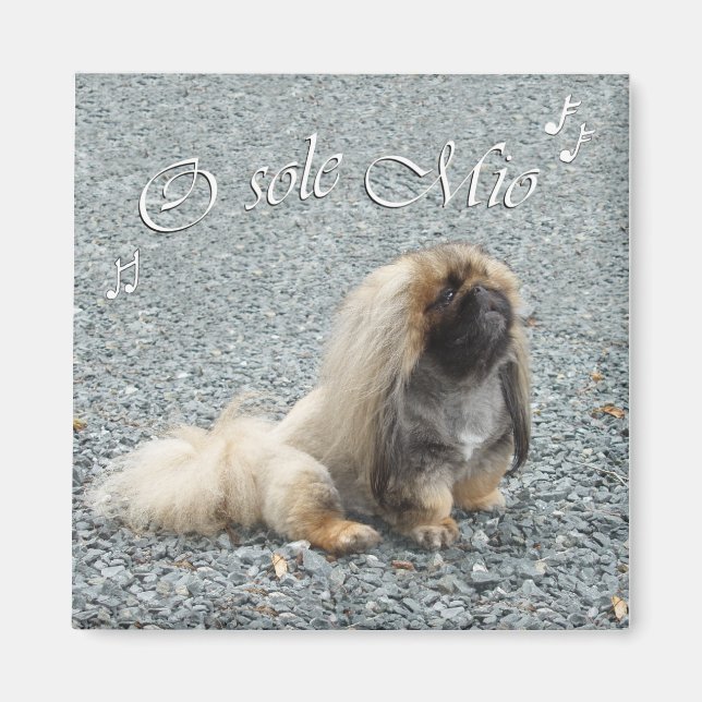 Pekingese Magnet (Front)