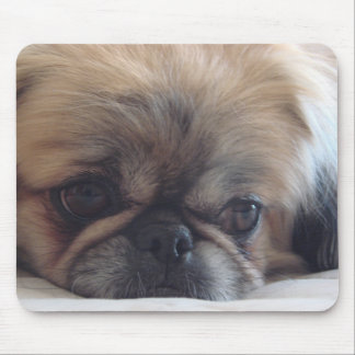 Pekingese Mouse Pad