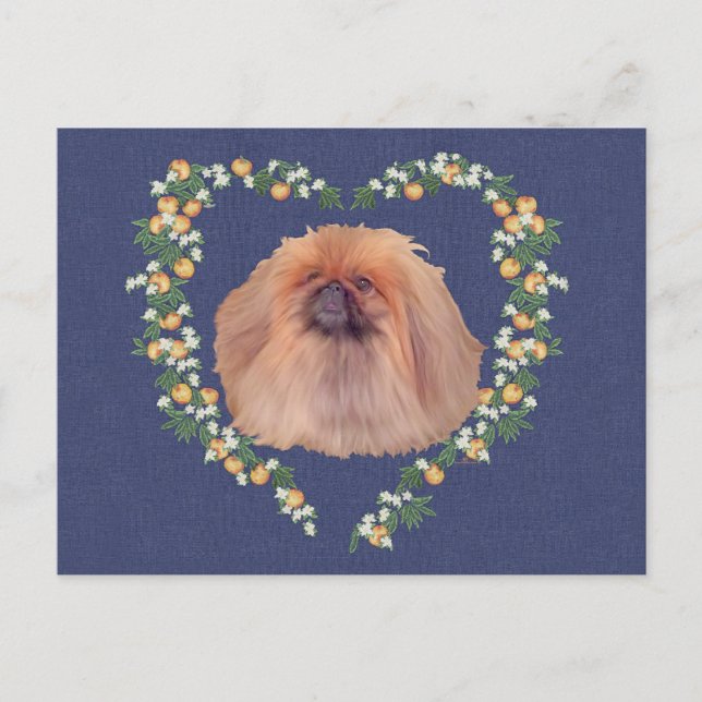 Pekingese Orange Blossoms Postcard (Front)