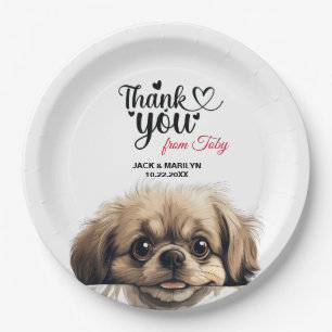 Pekingese Paper Plate