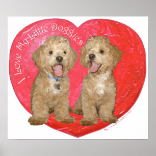 Pekingese / Poodle Mix Valentine's Day Poster