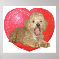 Pekingese / Poodle Mix Valentine's Day