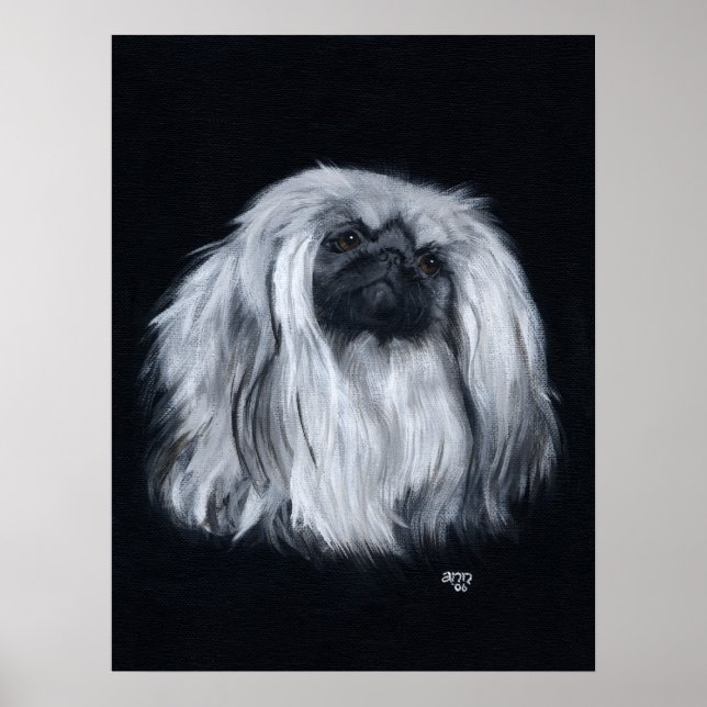 Pekingese Portrait in Black & White Poster (Front)