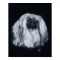 Pekingese Portrait in Black & White