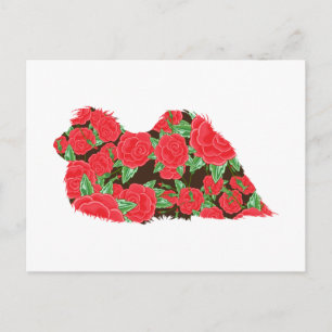 Pekingese Postcard