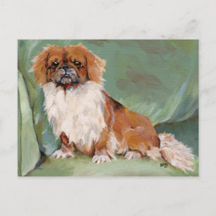 Pekingese postcard