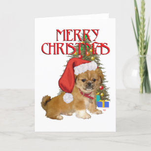 Pekingese Pup First Christmas Holiday Card