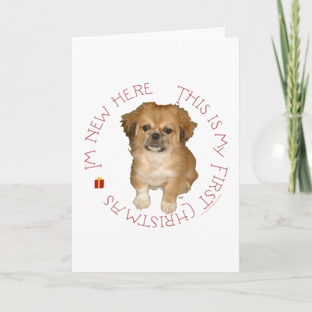 Pekingese Pup First Christmas Holiday Card (Front)