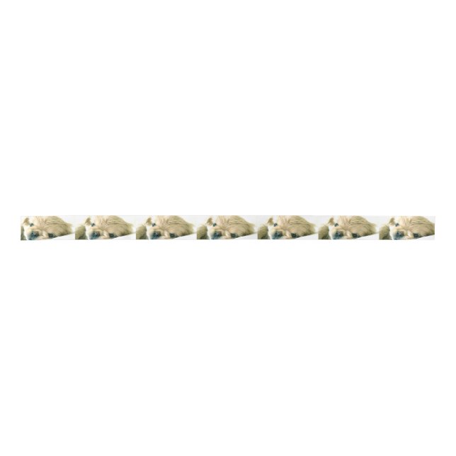 Pekingese Puppies Satin Ribbon (Front)