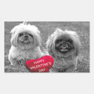 Pekingese Puppies wishing Happy Valentine's Day Rectangular Sticker
