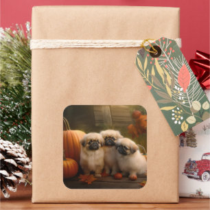 Pekingese Puppy Autumn Delight Pumpkin  Square Sticker