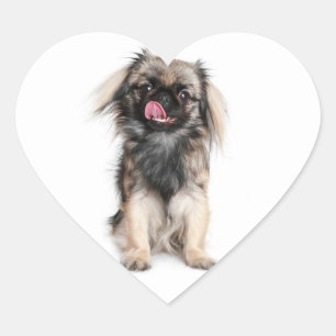 Pekingese Puppy Dog Heart Sticker / Label