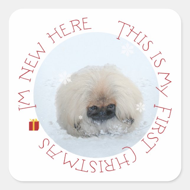 Pekingese Puppy First Christmas Square Sticker (Front)