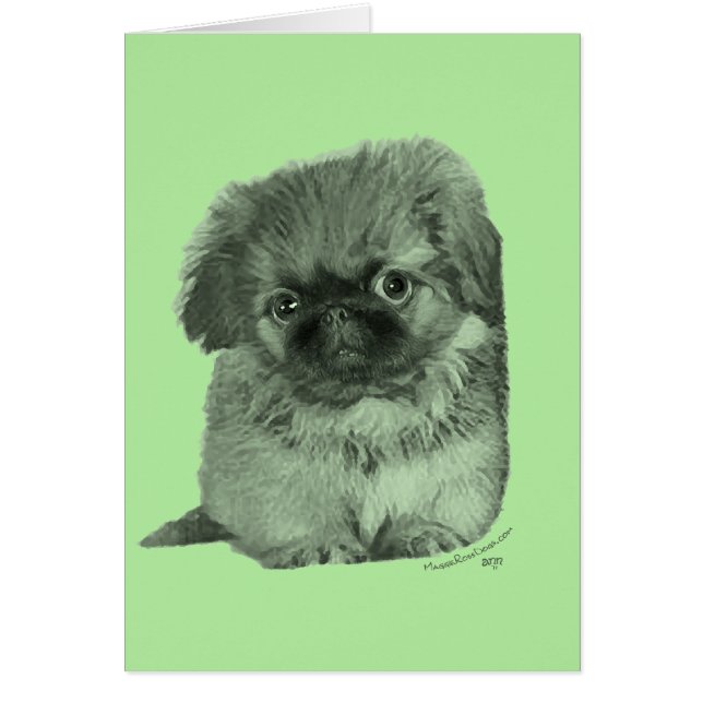 Pekingese Puppy Green (Front)