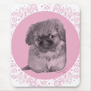Pekingese Puppy in Pink Mouse Pad