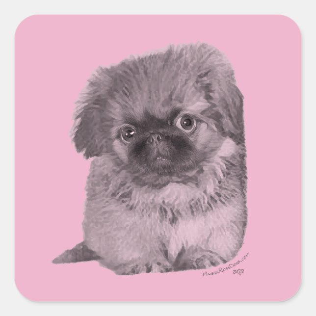 Pekingese Puppy on Pink Square Sticker (Front)