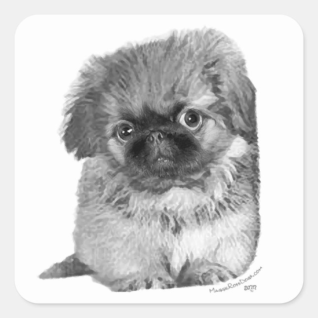 Pekingese Puppy Square Sticker (Front)