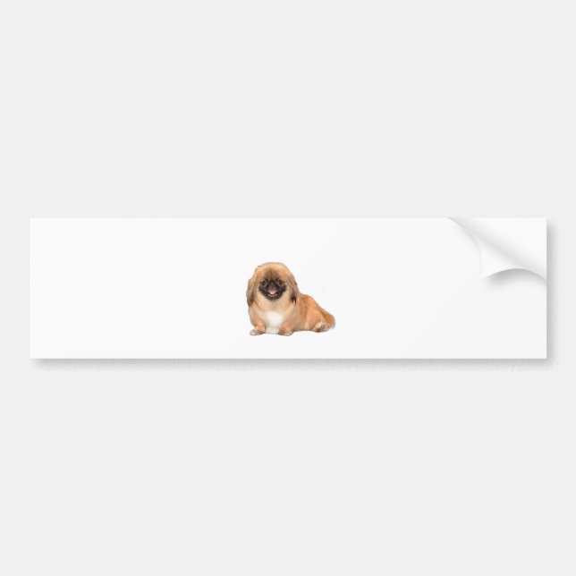 Pekingese (red , black mask #1) bumper sticker (Front)