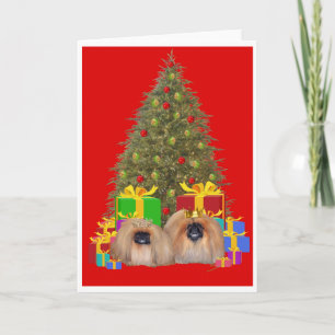 Pekingese Royalty Celebrate Christmas Holiday Card