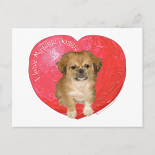 Pekingese / Shih Tzu Valentine's Day Holiday Postcard