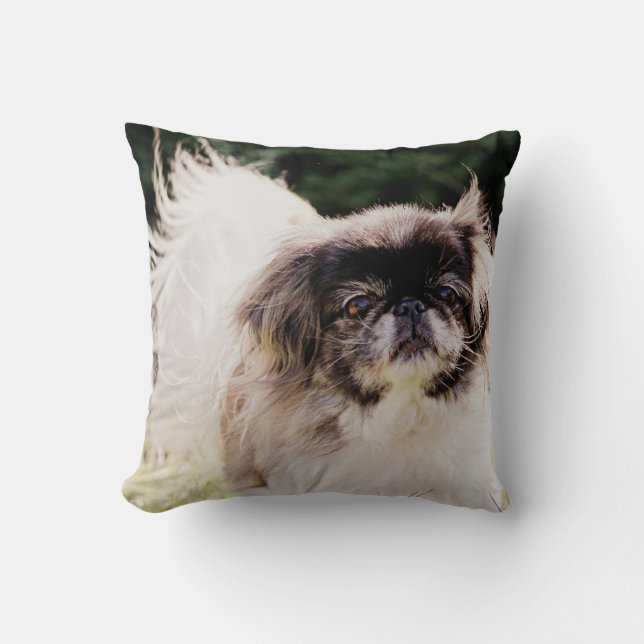 Pekingese Throw Pillow (Front)