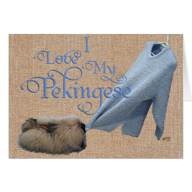 Pekingese Tug-O-War (Front Horizontal)