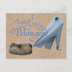 Pekingese Tug-O-War Postcard