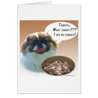 Pekingese Turkey