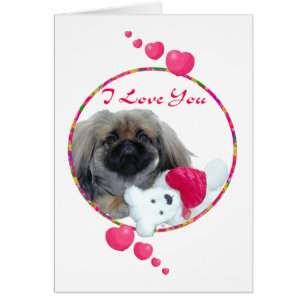 Pekingese Valentine