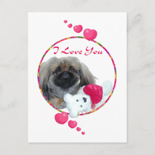 Pekingese Valentine Holiday Postcard