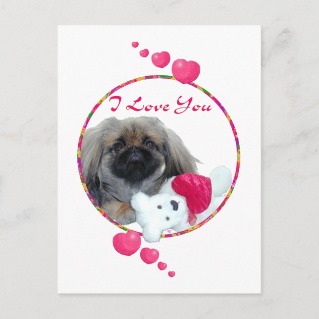 Pekingese Valentine Holiday Postcard (Front)