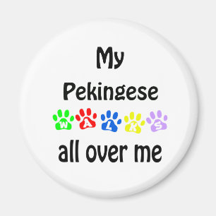 Pekingese Walks Design Magnet