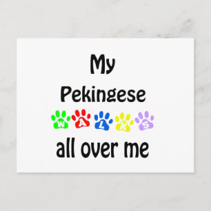 Pekingese Walks Design Postcard