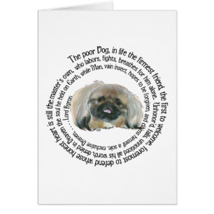 Pekingese Wisdom - and Lord Byron's Lament
