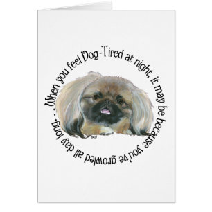 Pekingese Wisdom - Dog Tired?