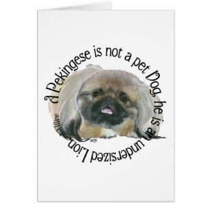 Pekingese Wisdom - Undersized Lion !