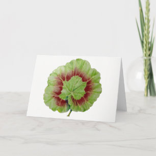 Pelargonium 'Geranium Leaf' Greeting Card