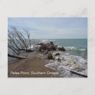 Pelee Point, Southern Ontario Postcard