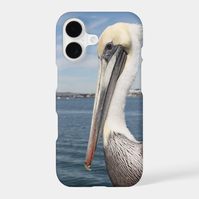 Pelican (Back)
